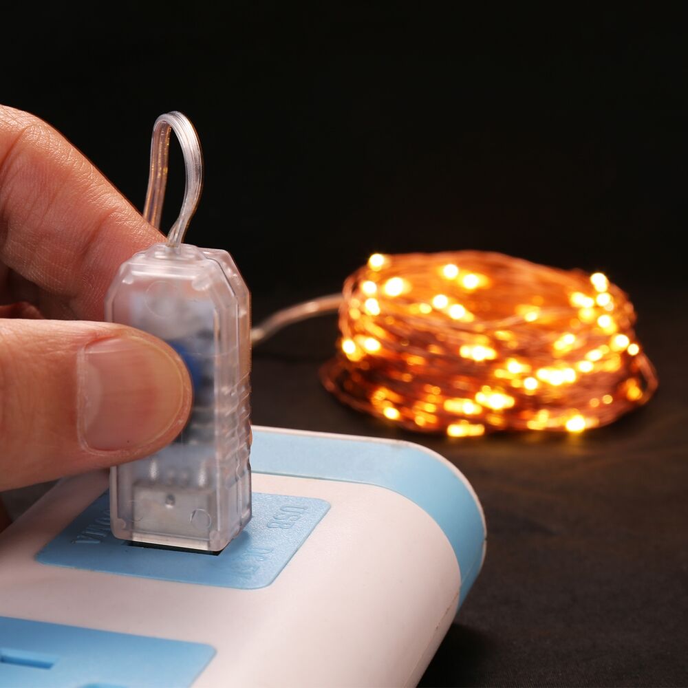 Lepro 33ft LED Fairy Lights