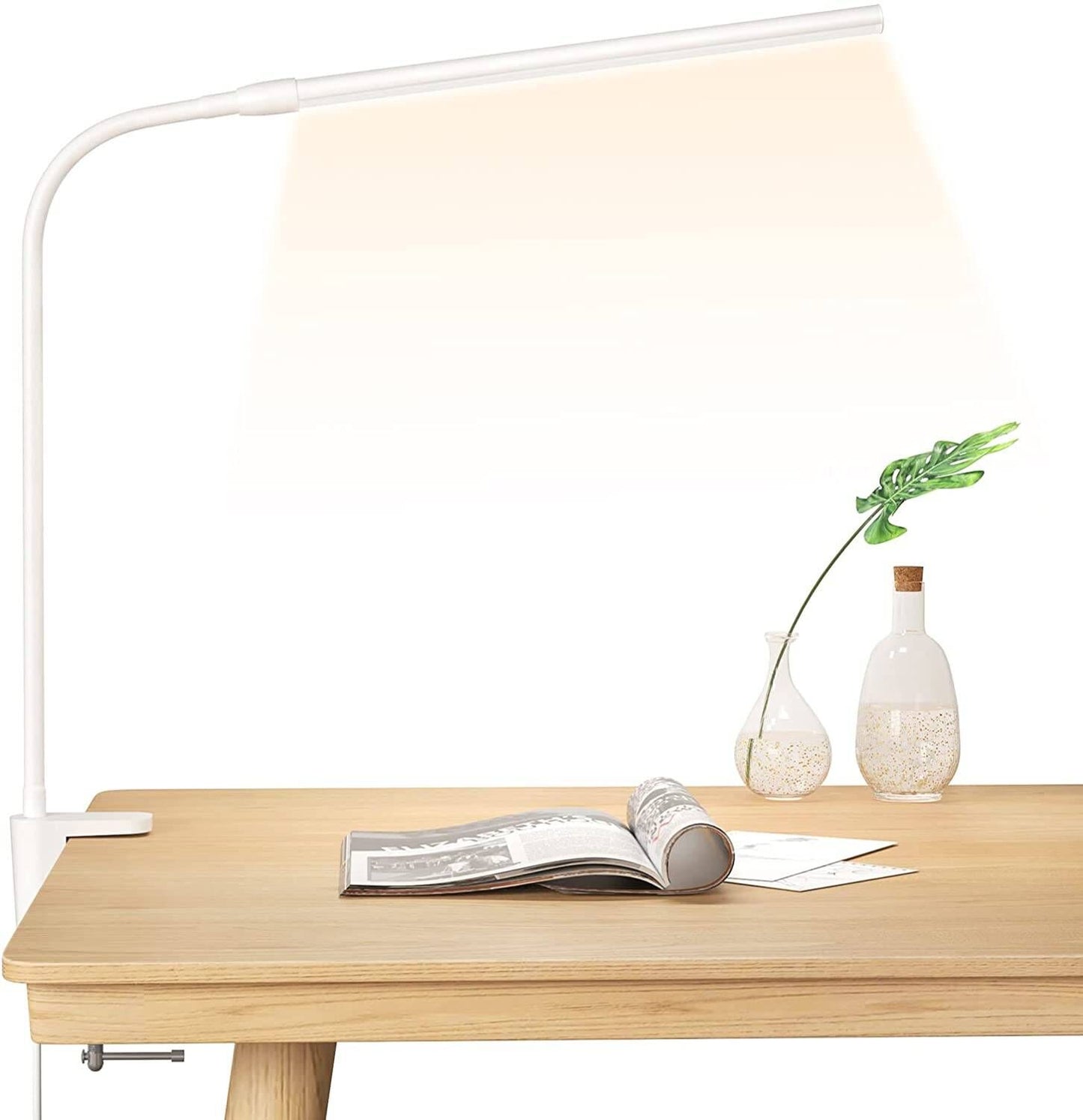 Lepro Clip on Desk Lamp
