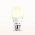 LED Light Bulbs