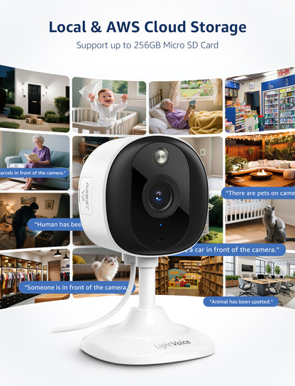 LightVioce 2K Dual-Use Security Camera