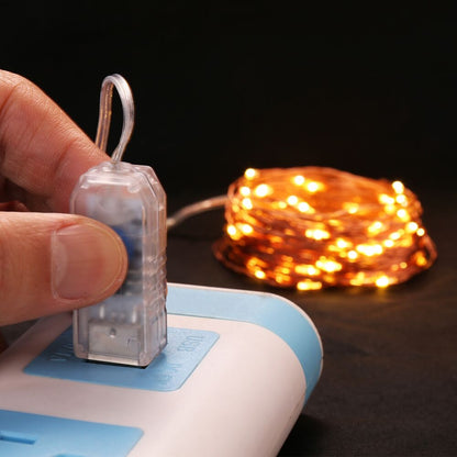 Lepro 33ft LED Fairy Lights