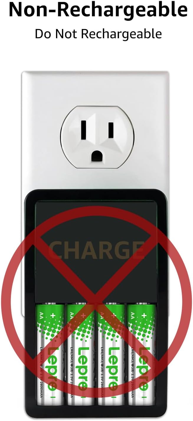Lepro AA Batteries