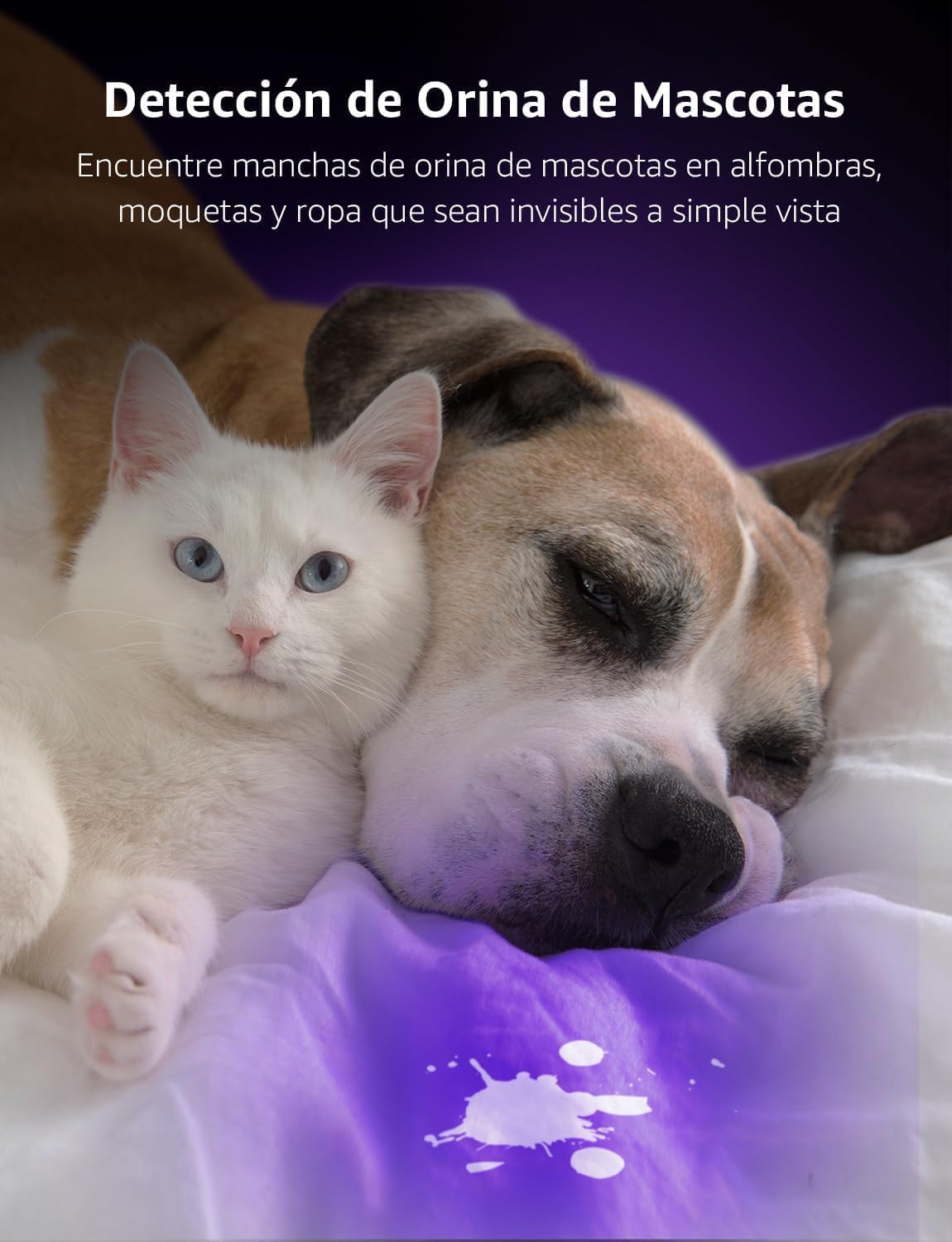 Lepro Small UV Flashlight (2 Pack)