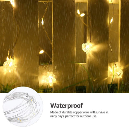 Lepro Warm White Dimmable Curtain Lights 9.8*9.8ft