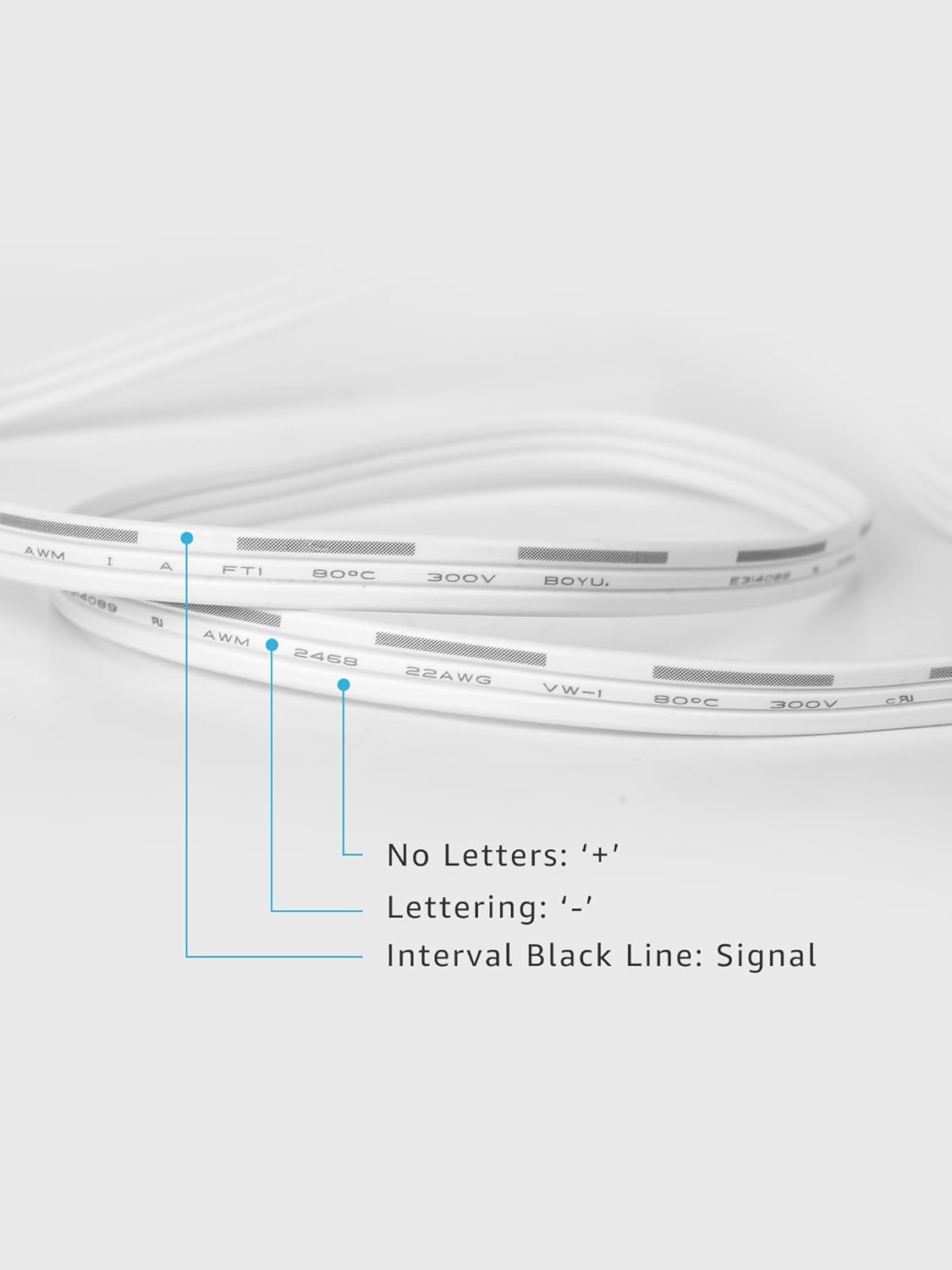Lepro EE1 Permanent Lights Accessories Only – 10ft Extension Cable for EE1 Permanent Outdoor Lights (Not Compatible with E1), Extension Cord with Built-in Data Booster