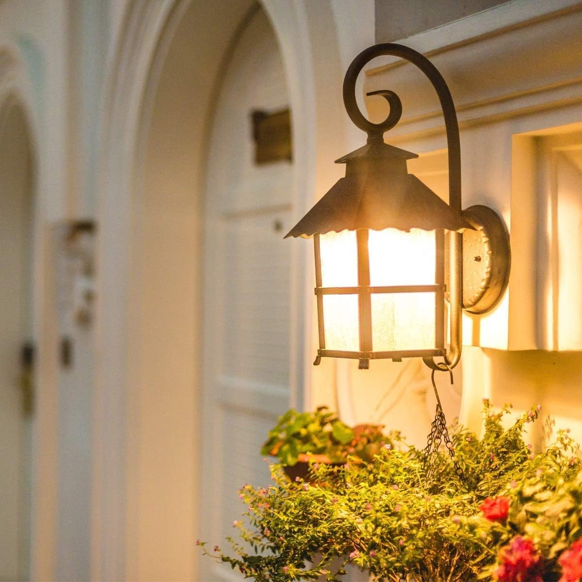 Lepro LED Light Bulbs 60 Watt Eqv Annual Save $6.12 per, Soft White 2700K, 9W 800 Lumens Non-Dimmable, A19 E26 Standard Medium Base