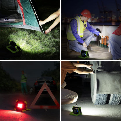 Lepro Portable LED Work Light, 20W, Rechargeable Outdoor Flood Light, Power Bank for Hiking, Working, Car Repairing, Workshop and More