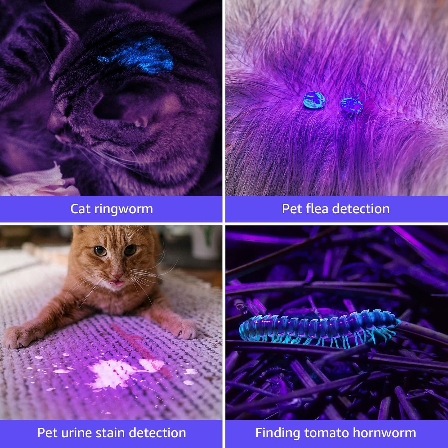 Lepro LE Black Light Flashlight with 21 LEDs