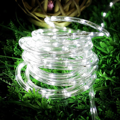 Lighting EVER Outdoor Rope Lights Cool White 6000K 33ft 240 LED