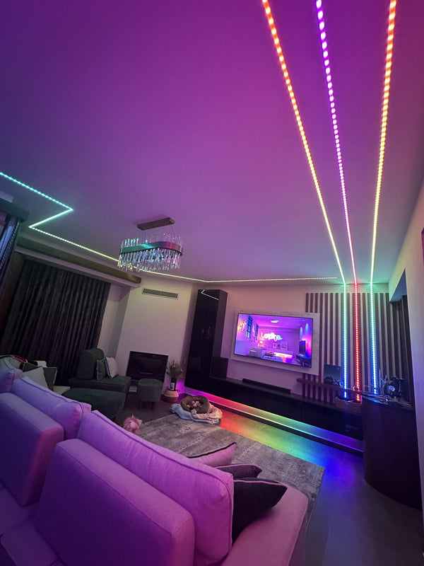 Best color best ambiance