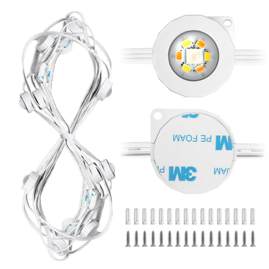 Lepro E1 Permanent Lights Accessories Only – 25 ft Permanent Outdoor Lights Single Strand Without Adapter and in-line Controller