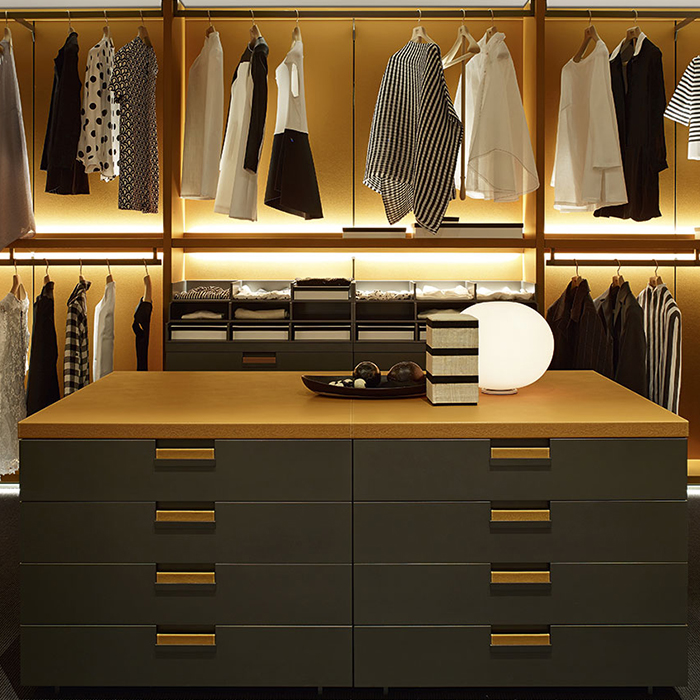 Wardrobe Closet With Led Light